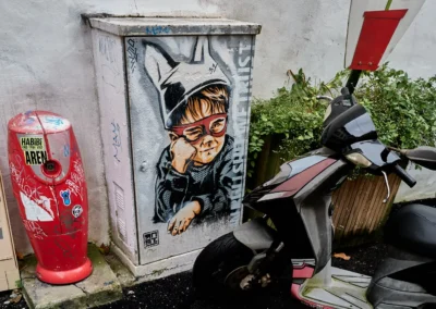Baiona, en langue basque c'est Bayonne 18 un coffret technique en extérieur recouvert du dessin d'un gamin au masque rouge affublé d'un bonnet d’âne