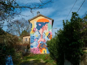 Originaire des Cévennes et ayant passer toute son enfance et adolescence à Bessèges, Zeklo s'est souvenu de motifs de fleurs de pommes de terre que l'on retrouvent sur de vieilles assiettes cévenoles, pour en faire la publicité ! Ce sont ces fleurs que l'on retrouve derrière ce portrait de femme, spécialité de l'artiste.