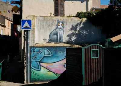 Peinture Urbaine: Le Chat Illuminé, Place Charles de Gaulle, artiste: Broko